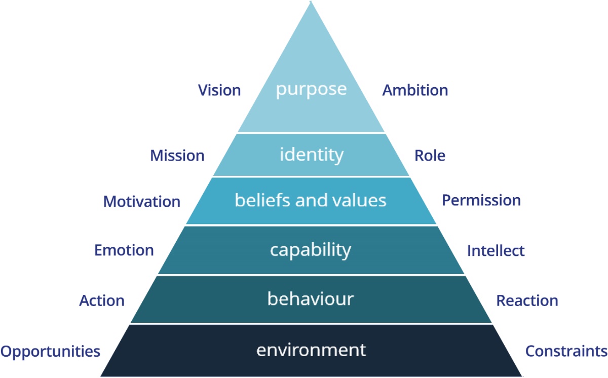 Extended Logical Levels model